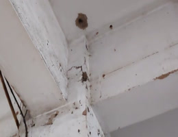 汕頭房屋鑒定